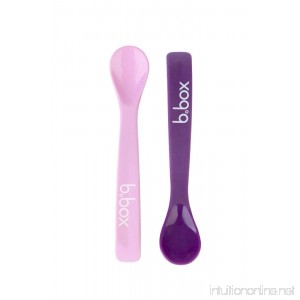 b.Box Baby 2 Soft Bite Flexible Spoon Set for 9 Months + | Colors: 1 Pink-1 Purple | Includes 2 Spoons | BPA-Free | Phthalates & PVC Free | Dishwasher Safe - B004MDL5JQ
